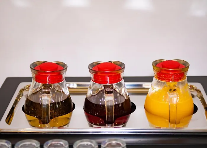 Airport Tirana 4* Rinas